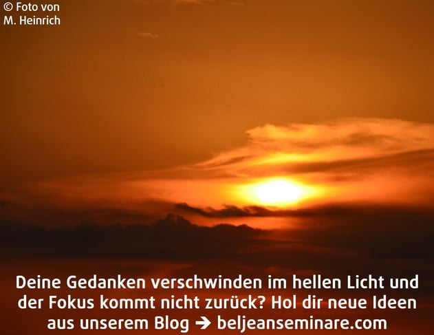 260600 Nr 295 Bild wann treffen wir Entscheidungen