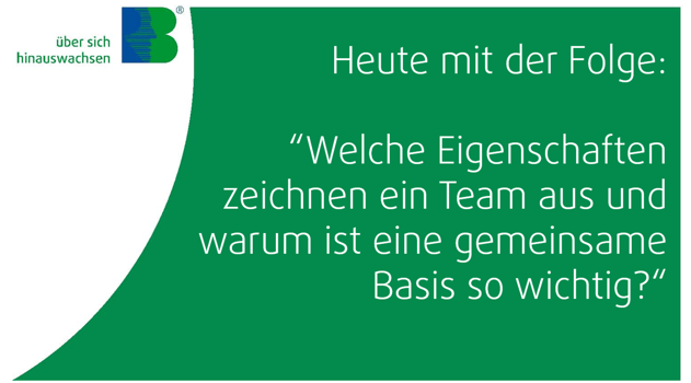 260700 Nr 297 Cover warum Werte fuers Team