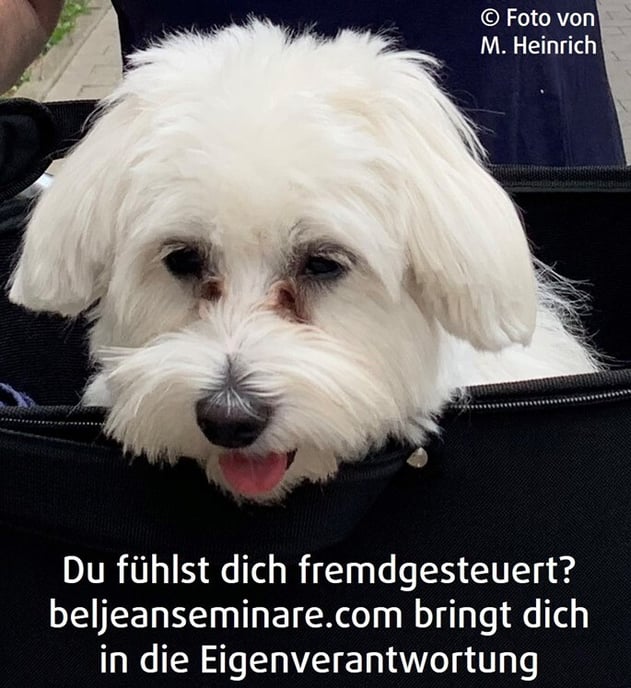 260700 Nr 301 Bild Runterkommen trotz Stress