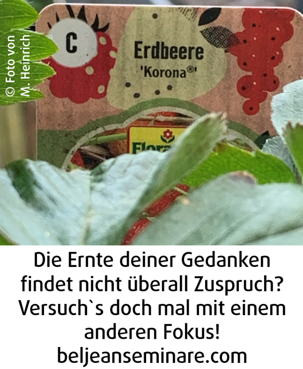 260800 Nr 305 Bild Fehler beim Denken
