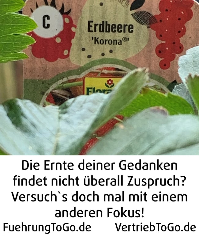 290